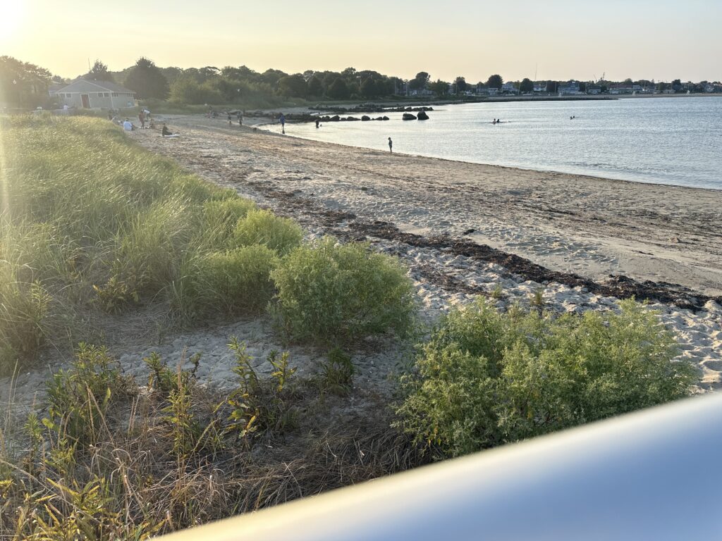 a beach with bushes and a body of water (MyCoast AI)