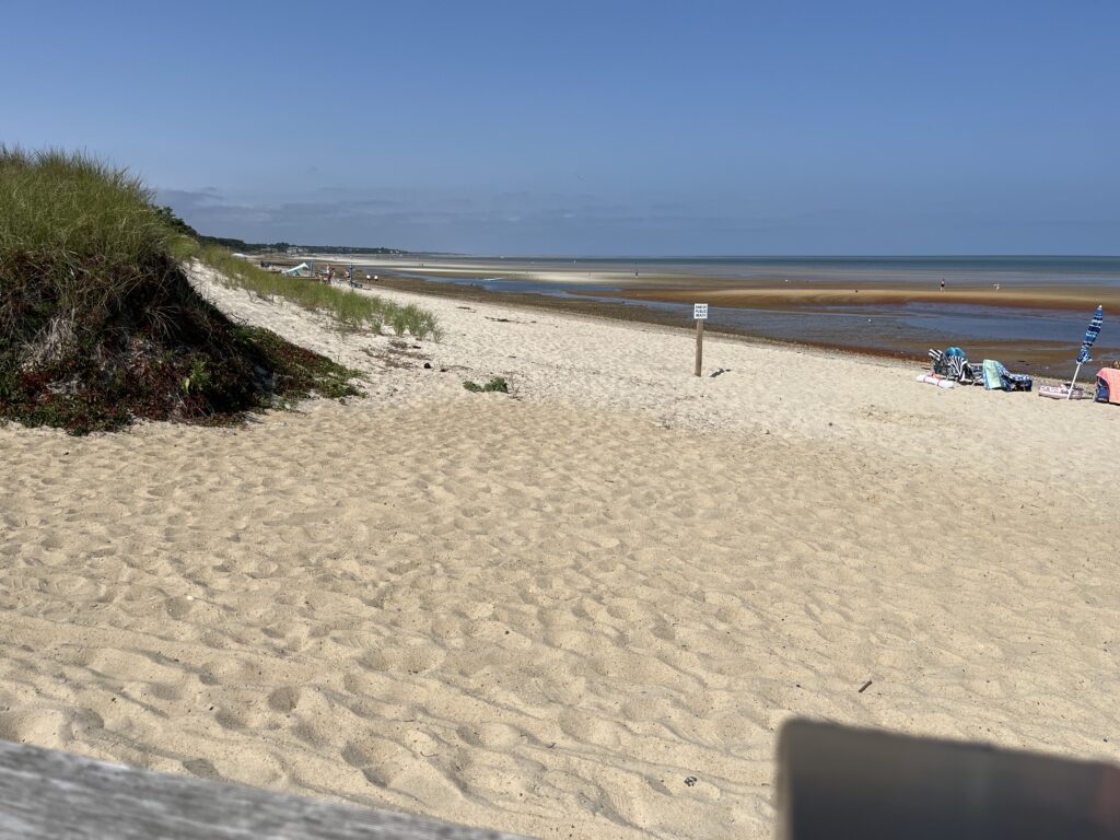 a sandy beach with chairs and umbrellas (MyCoast AI)