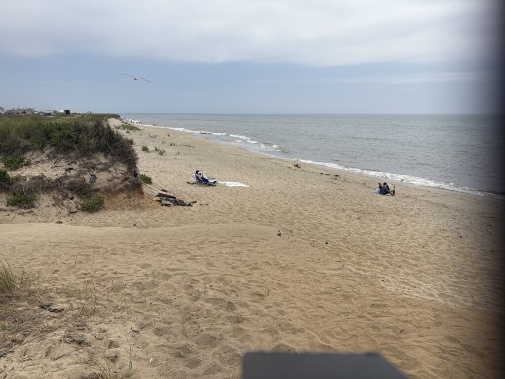 a beach with people on it (MyCoast AI)