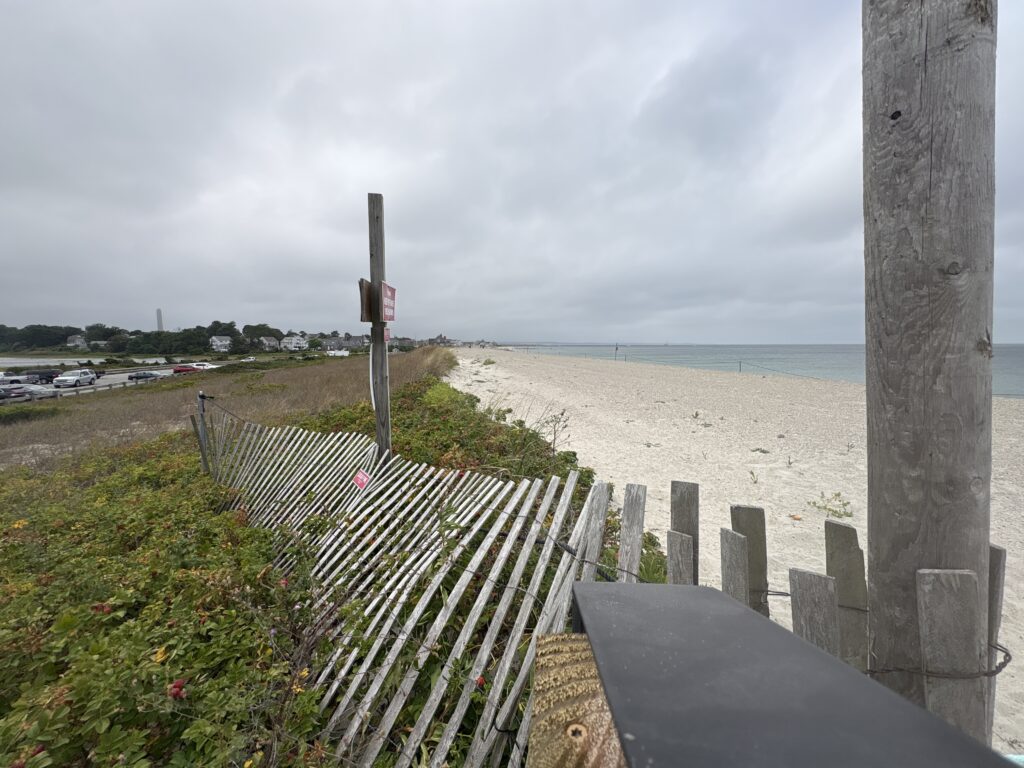 a wooden bench overlooking a beach (MyCoast AI)