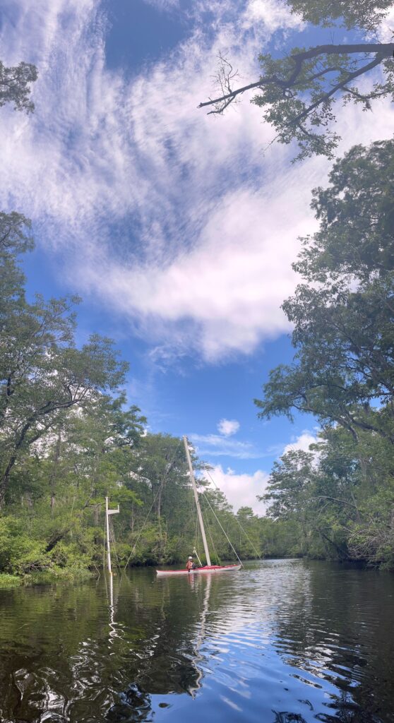 a person on a boat in a lake with trees and a cloudy sky (MyCoast AI)