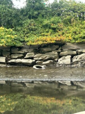 a rock wall with a pond and trees in the background (MyCoast AI)