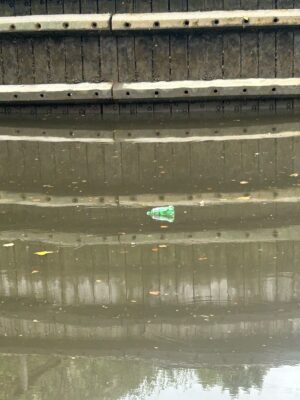 a small green object on a wooden surface (MyCoast AI)
