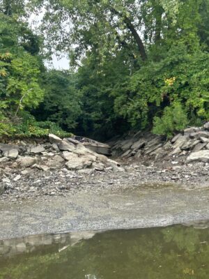 a river with rocks and trees (MyCoast AI)