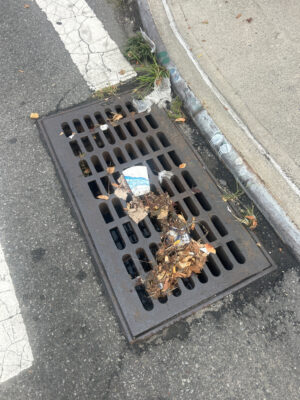 a car with a broken windshield (MyCoast AI)