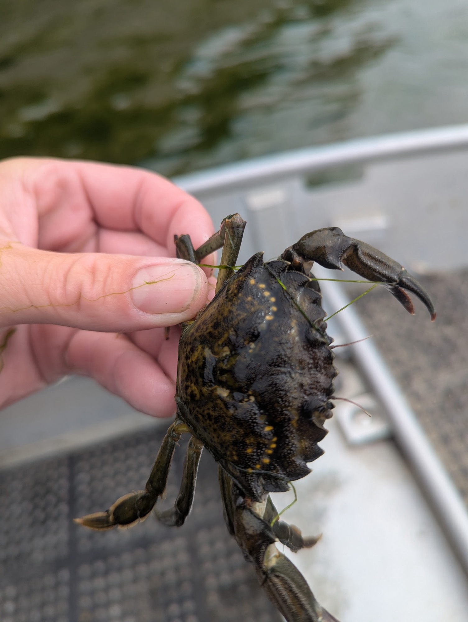 f788e19e40dbeef825ba01b835dd942b73252082