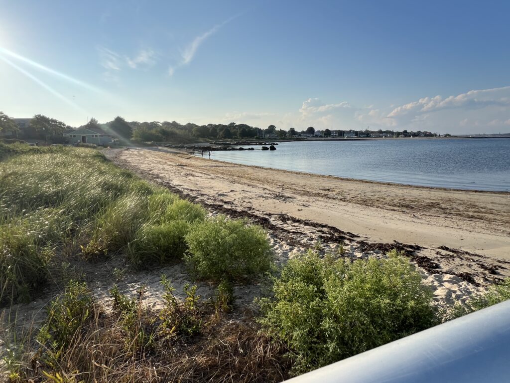 a sandy beach with bushes and a body of water (MyCoast AI)