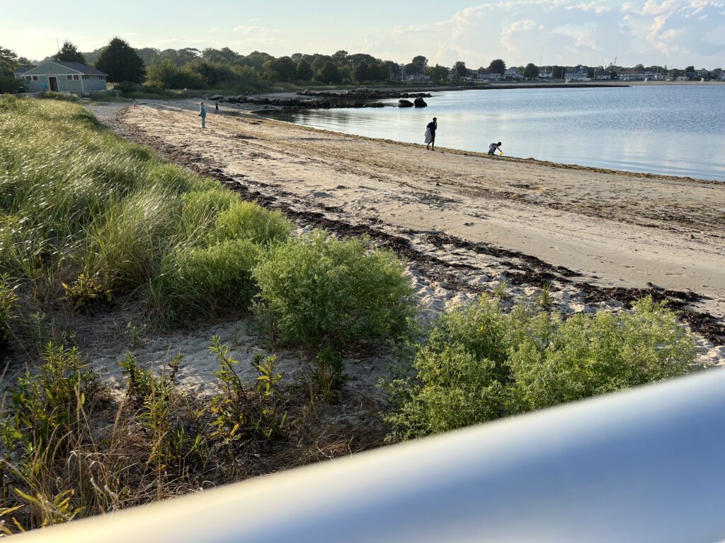 a person walking on a beach (MyCoast AI)