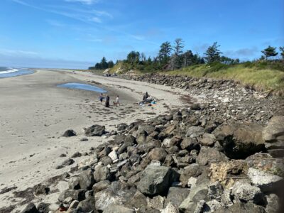 a group of people on a beach (MyCoast AI)