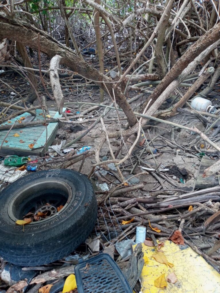 a pile of branches and branches (MyCoast AI)