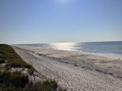 a sandy beach with grass and water (MyCoast AI)