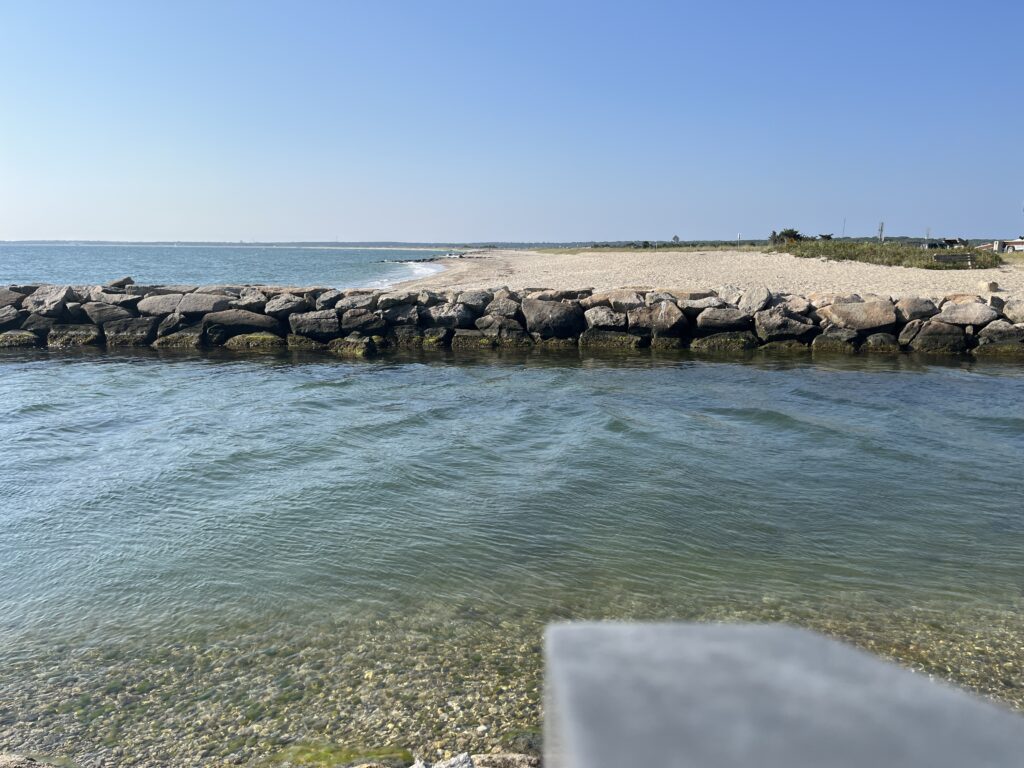 a rocky beach with a body of water in the background (MyCoast AI)