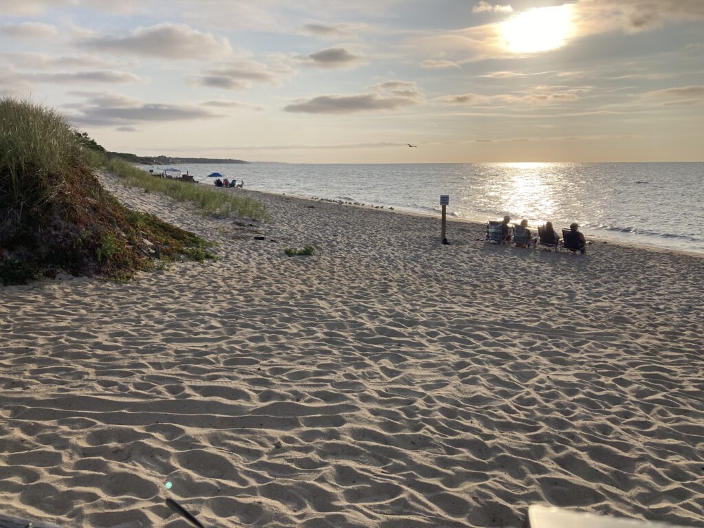 people sitting on a beach (MyCoast AI)