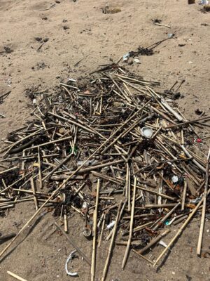 a pile of sticks and sticks (MyCoast AI)