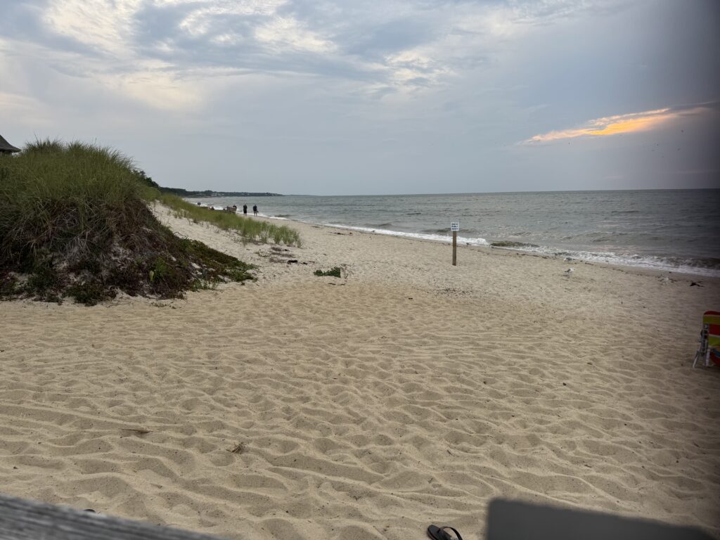 a sandy beach with a body of water in the background (MyCoast AI)