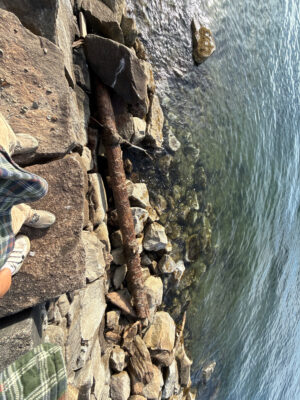 a rocky cliff with a body of water below (MyCoast AI)