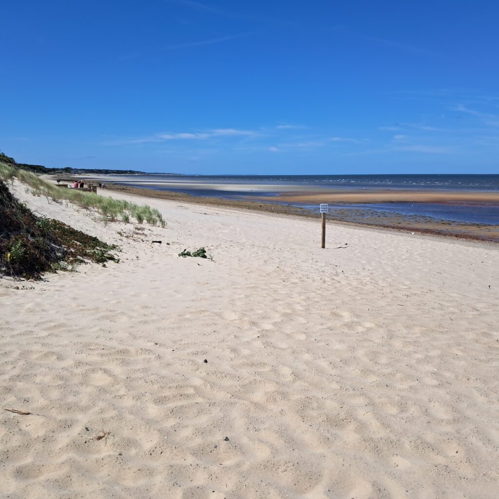 a sandy beach with a fence (MyCoast AI)
