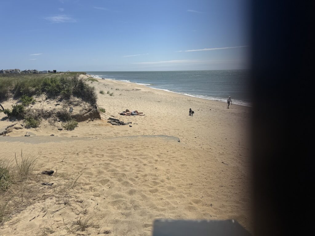 a sandy beach with people walking on it (MyCoast AI)