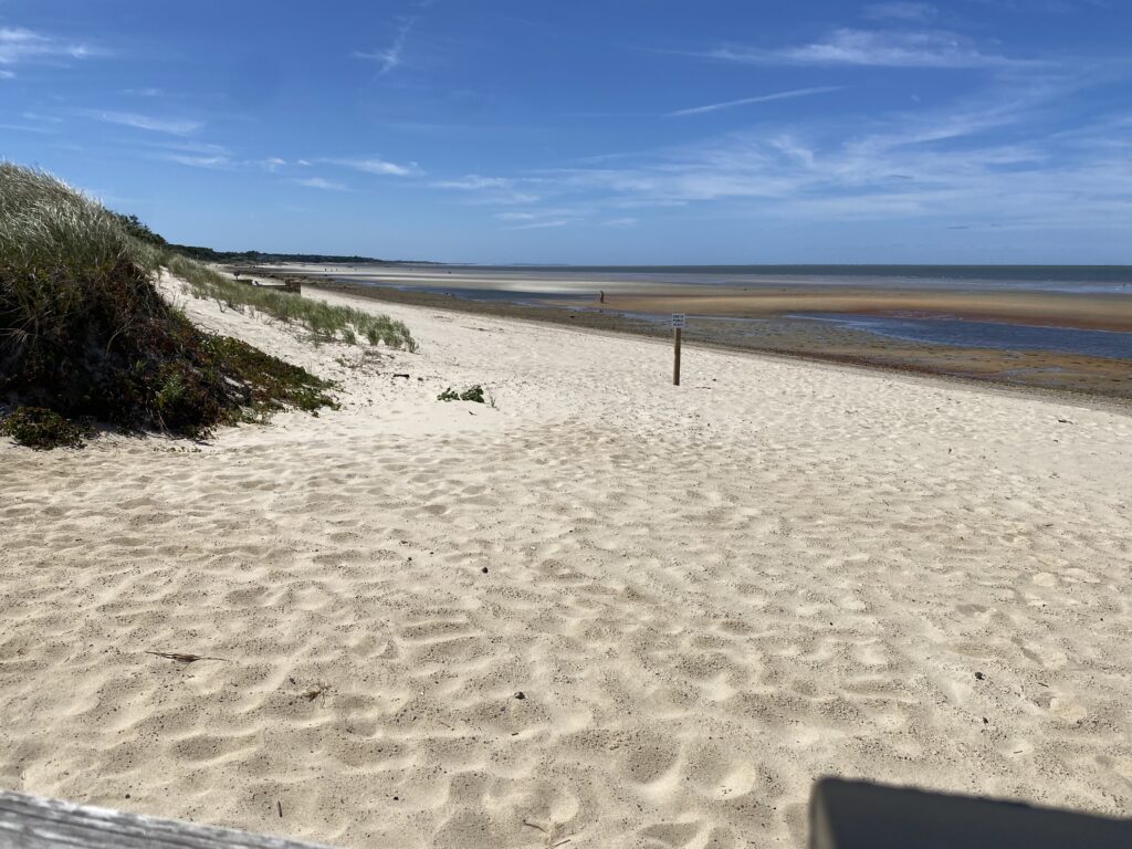 a sandy beach with a fence (MyCoast AI)