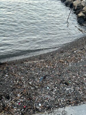 a rocky beach with a body of water in the background (MyCoast AI)