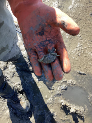 a person's hand with blood on it (MyCoast AI)