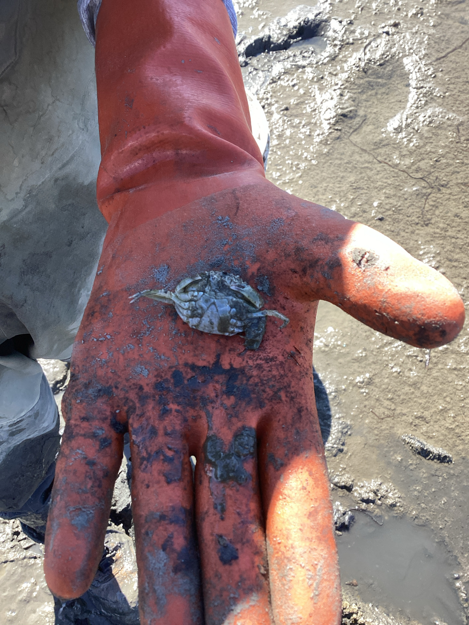 032e9e53a51ae1c432aa0c177aed98f712e1bf5a