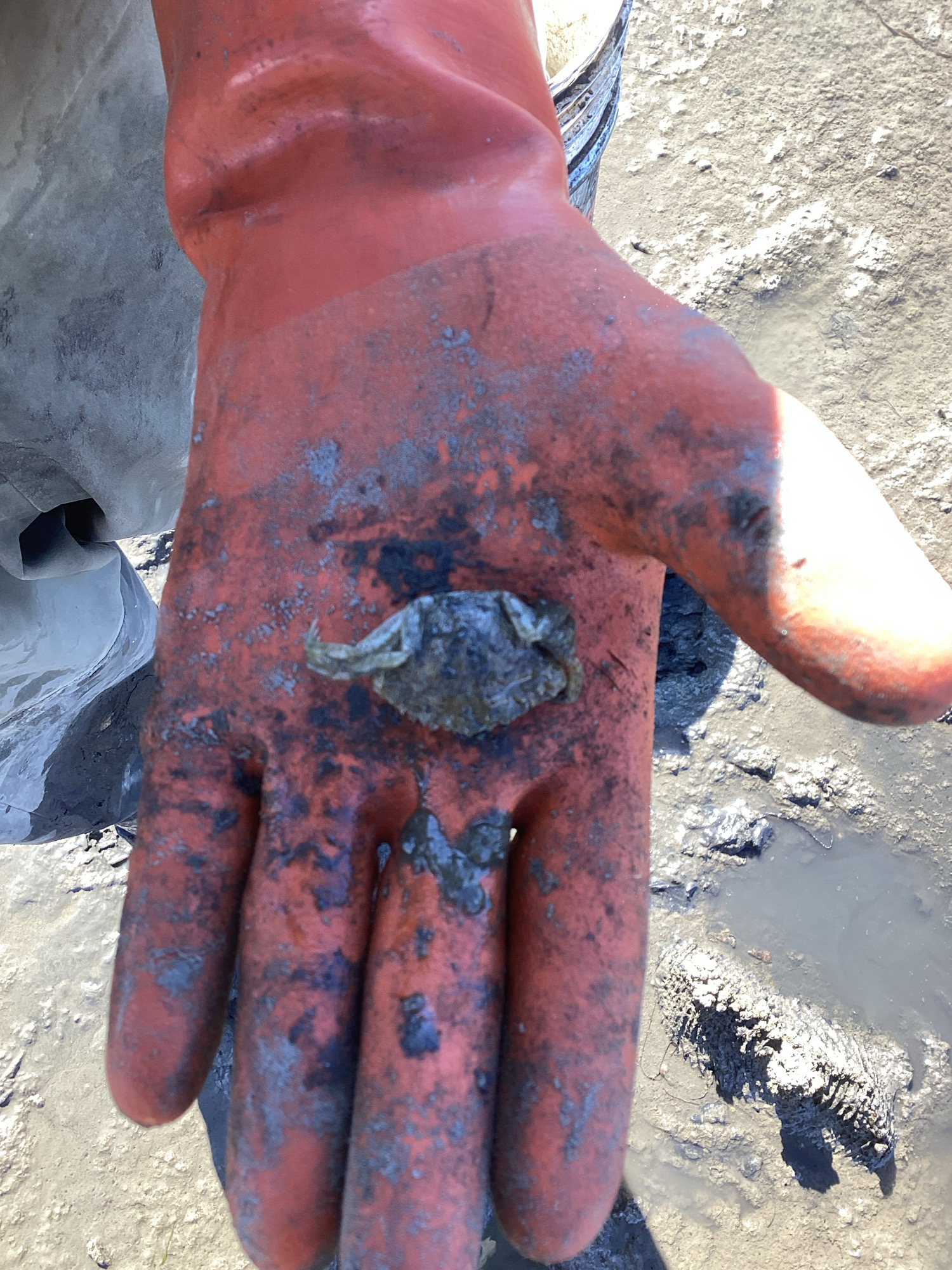 0866af9c8c58fb3428758cdac08b3b5383a79a1e