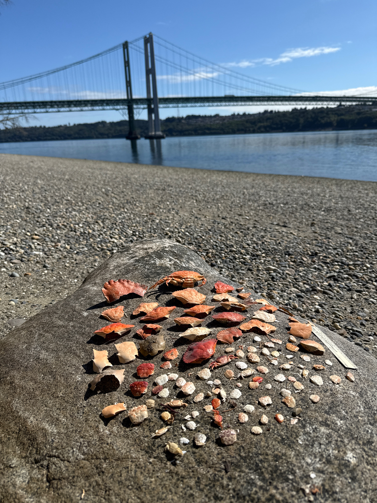 6ac4f9adaa91ff2290e17af2c179904c4a1acc07