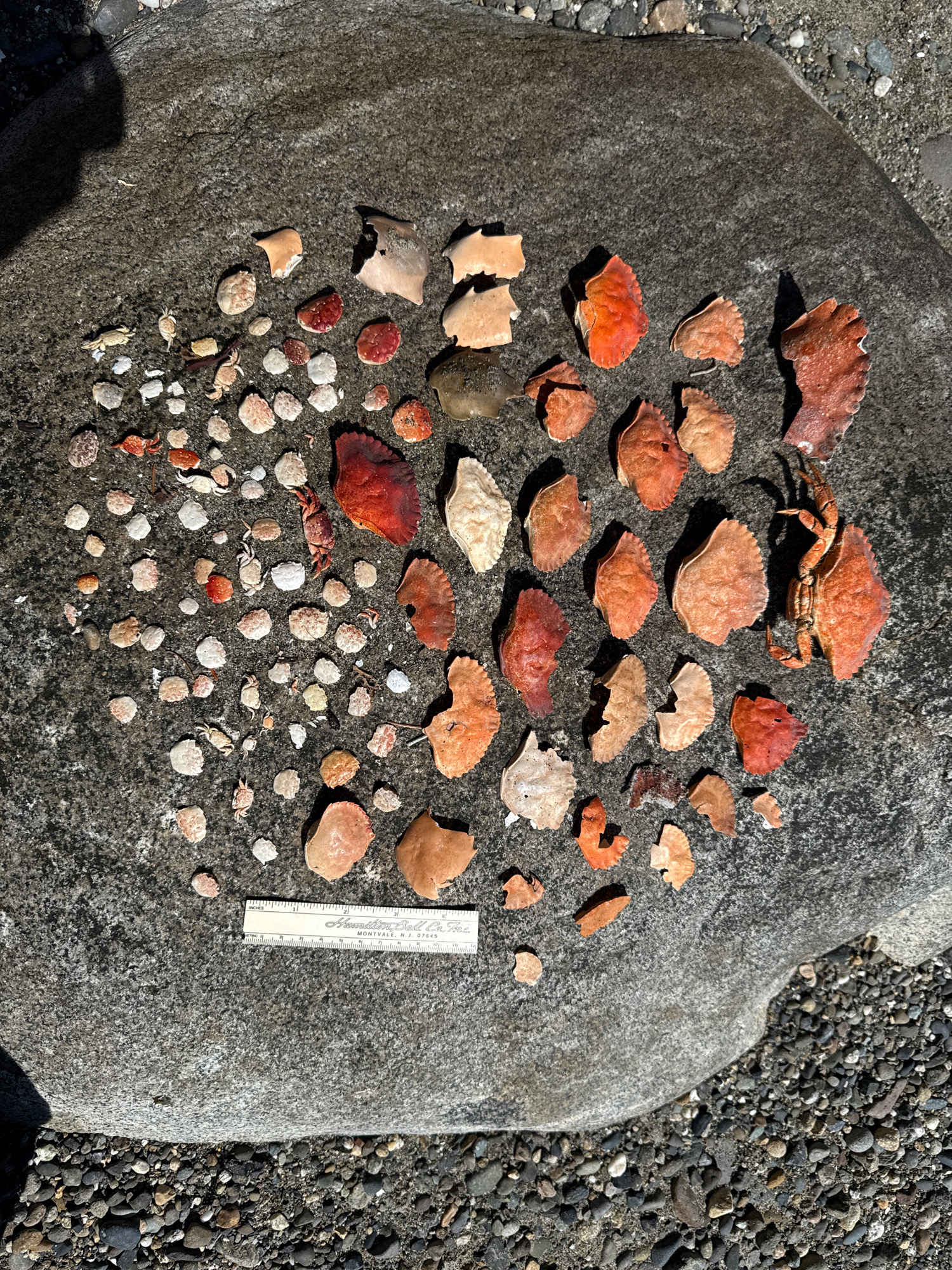 6be3742f5f9cb52460cb0a4cd2eedfaaceb090da