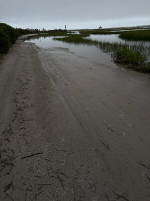 a muddy river with grass and trees (MyCoast AI)