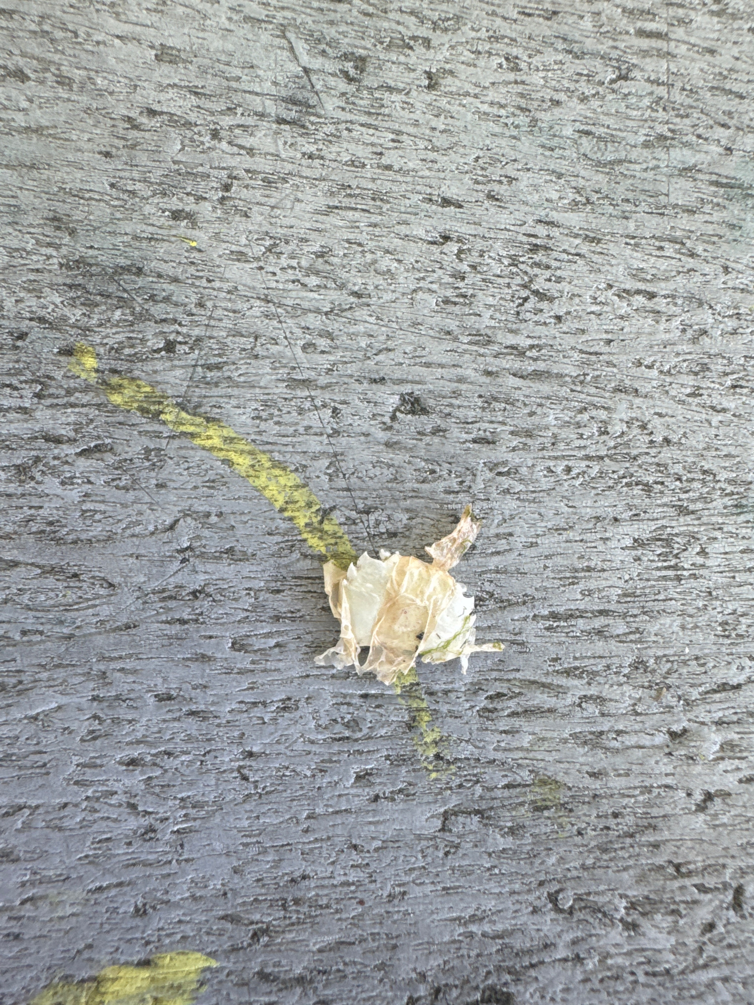 fd8ad7fbfedd65eef6fa45fa60d5ee068bec6cdf