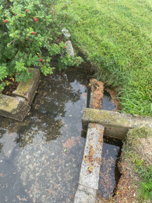 a small pond with grass and a brick wall (MyCoast AI)