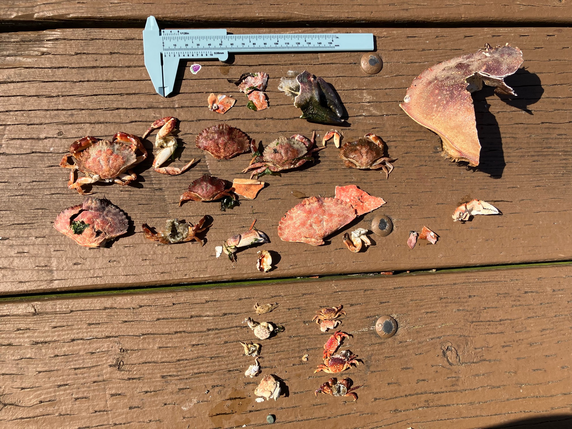 4857ca522d4f7993cce3120bd579cca572748fee