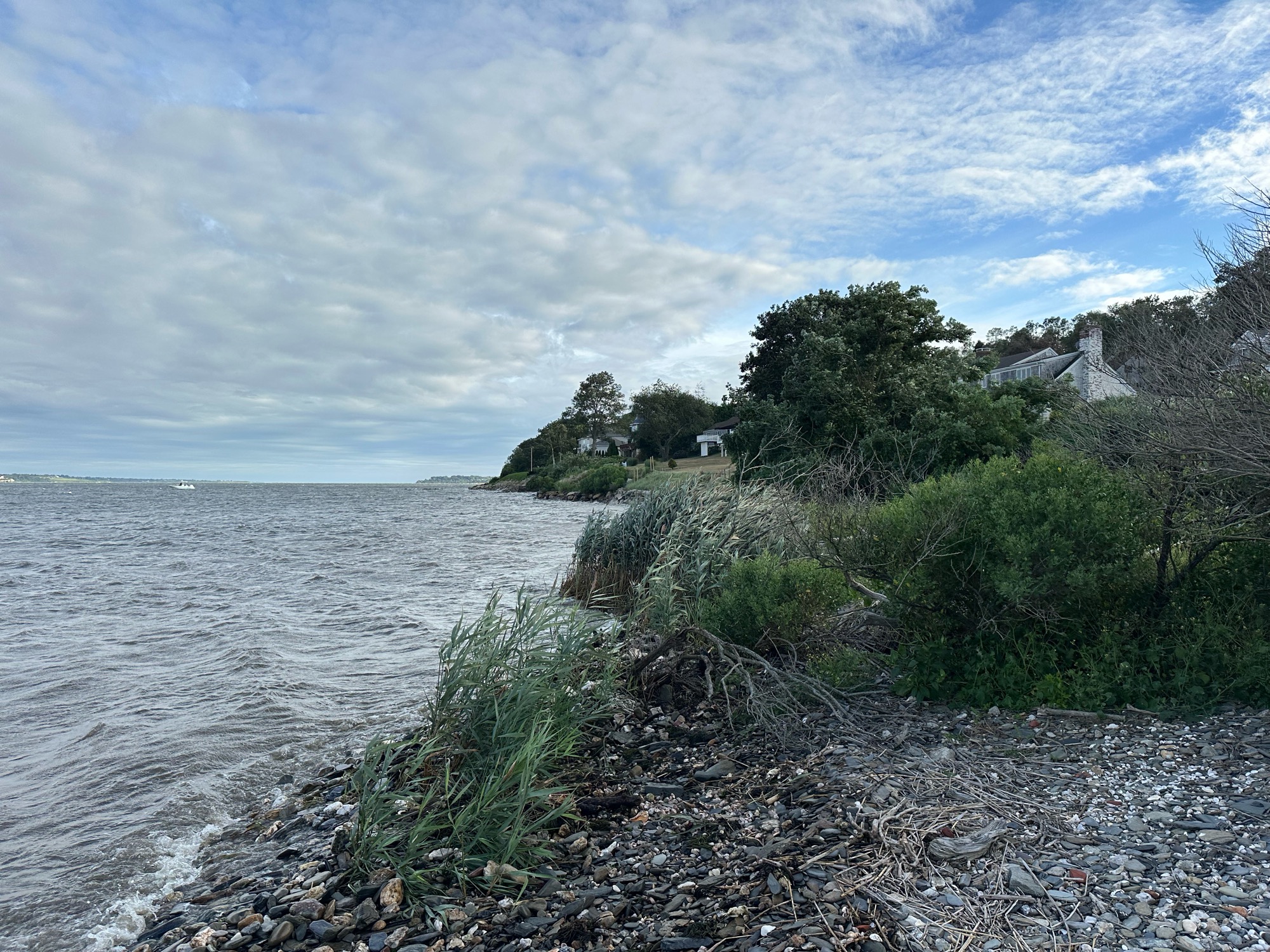 c3298fefb9829df758d7aee0199089ca5019eefb