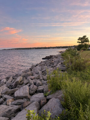 a rocky shore with a body of water in the background (MyCoast AI)