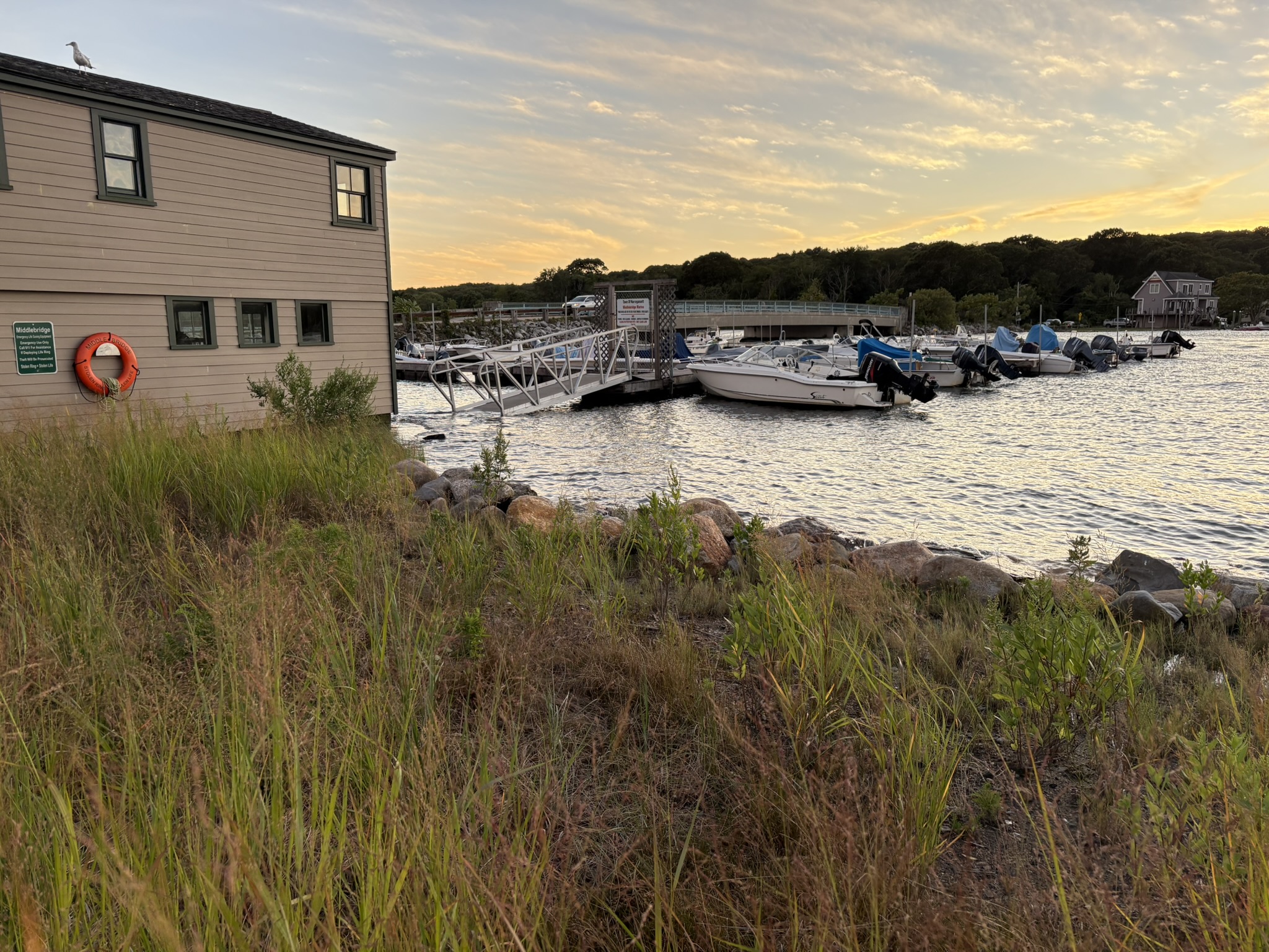 49726eedacdf1acaae2c5e9a8ffbf7483