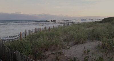 a beach with a fence and grass (MyCoast AI)