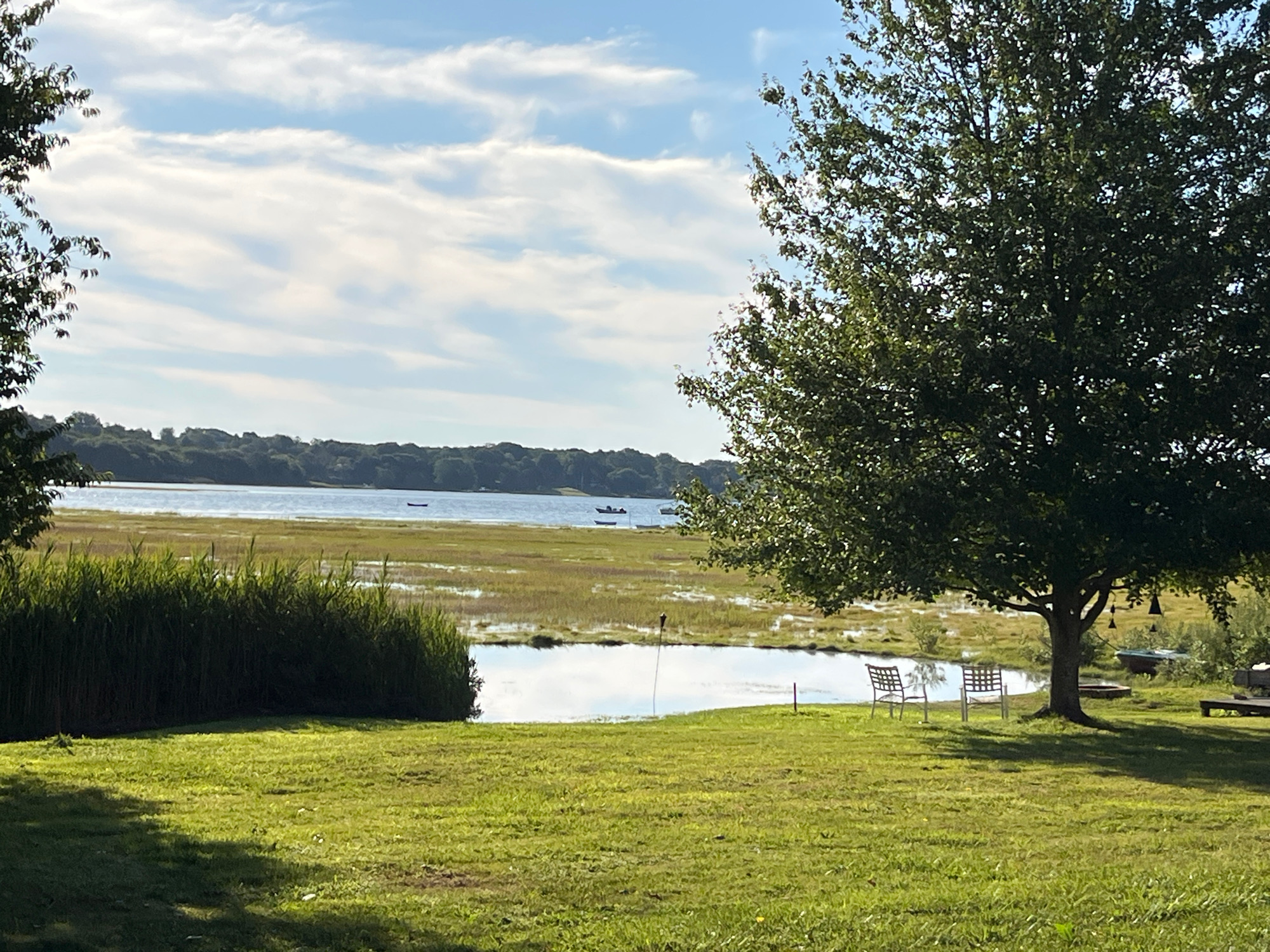 5e8c9913595a150b51771705f3da099b7dc7d96c