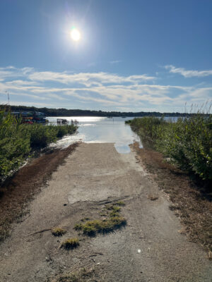a path next to a body of water with plants and a sunny day (MyCoast AI)