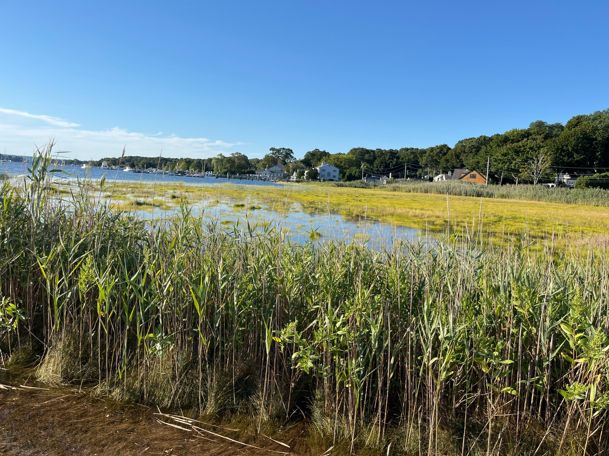 e8e2bf2819ae210d0fd5208ce00c7cfcb7ad8af2