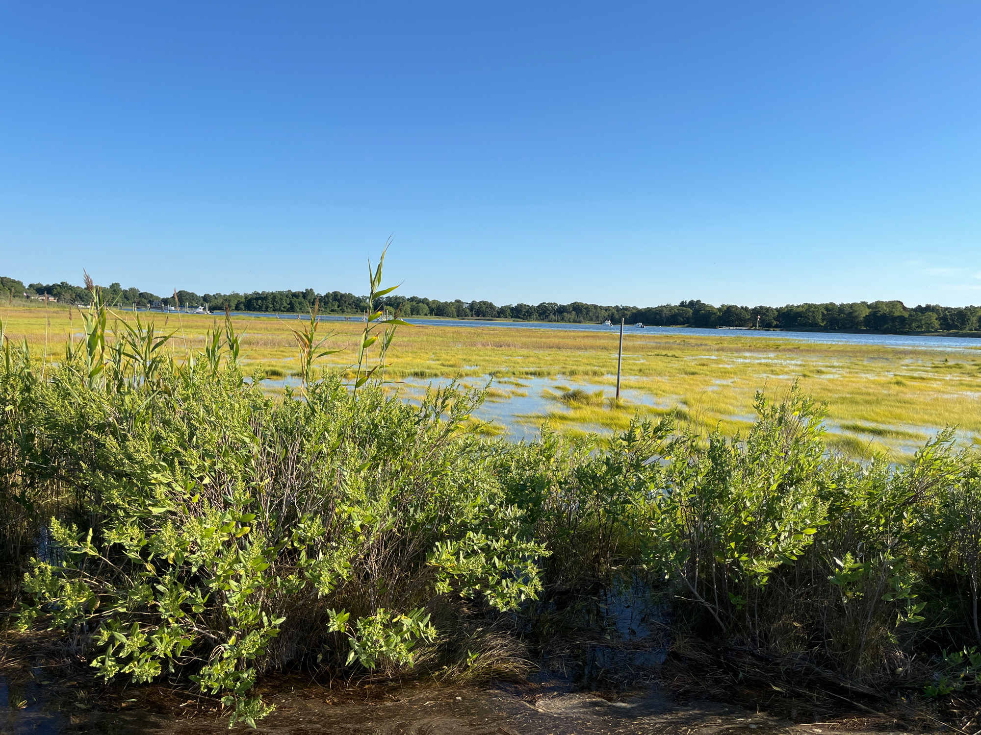 d9f4af95ea3ca16d0225b4516fcb975f69f80798