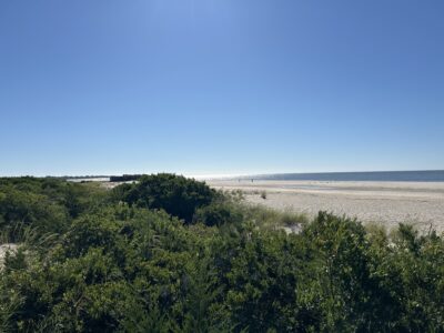 a landscape with trees and a body of water in the background (MyCoast AI)