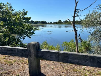 a wooden fence in front of a lake (MyCoast AI)