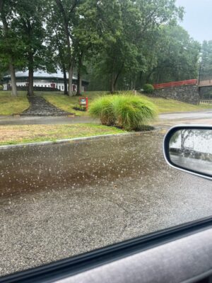 a car windshield with a bush and trees in the background (MyCoast AI)