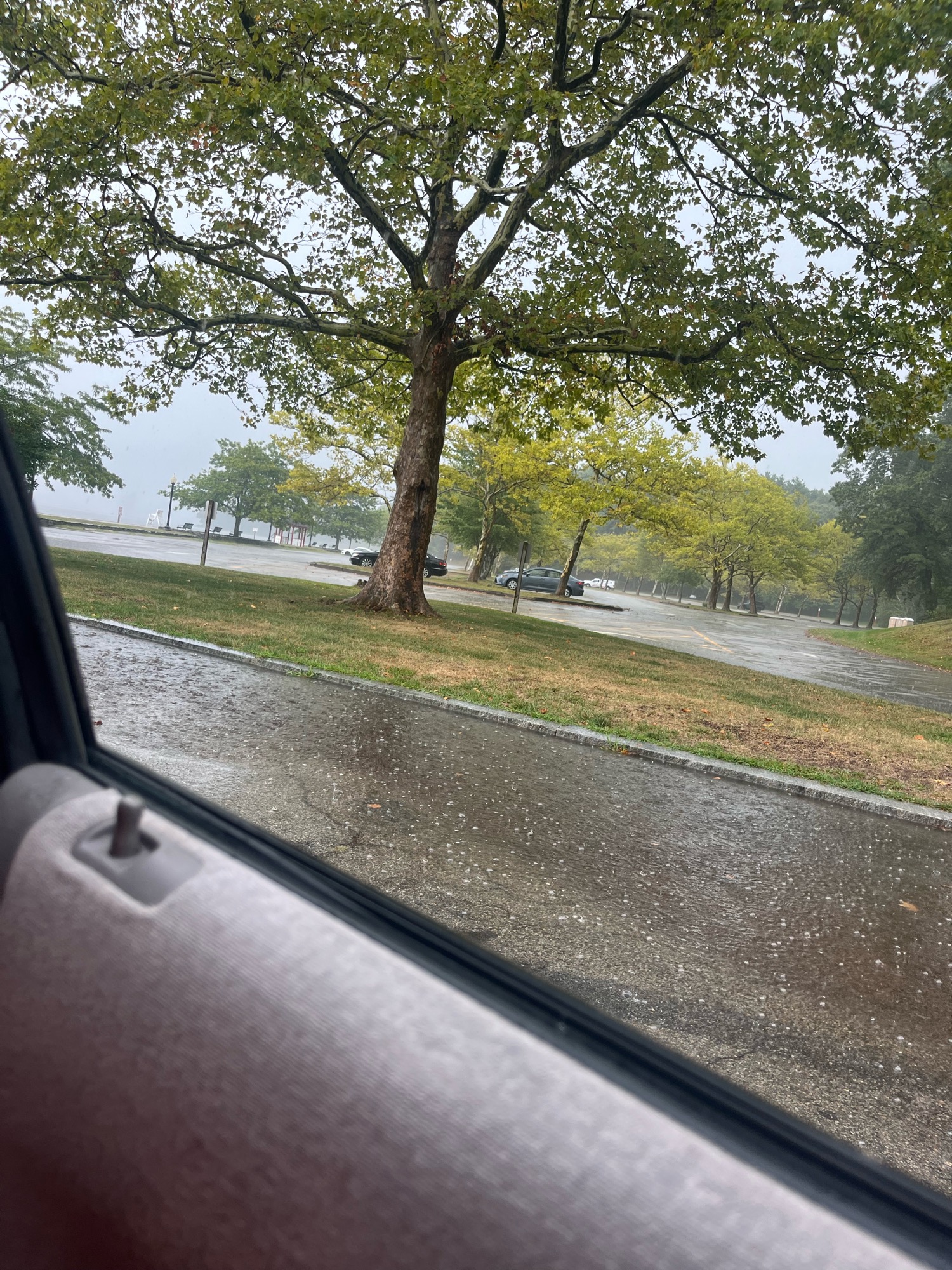 1ceba734679187adc4a8dc03da4110ed29ac0f38