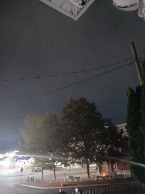 a street with trees and buildings (MyCoast AI)