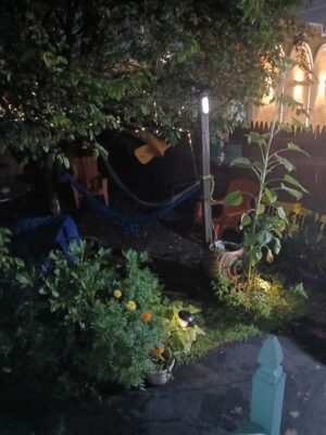 a garden with a lamp post (MyCoast AI)