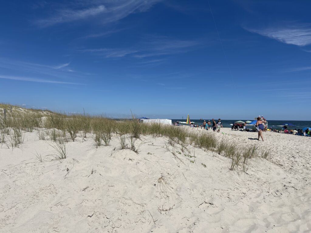 people walking on a beach (MyCoast AI)