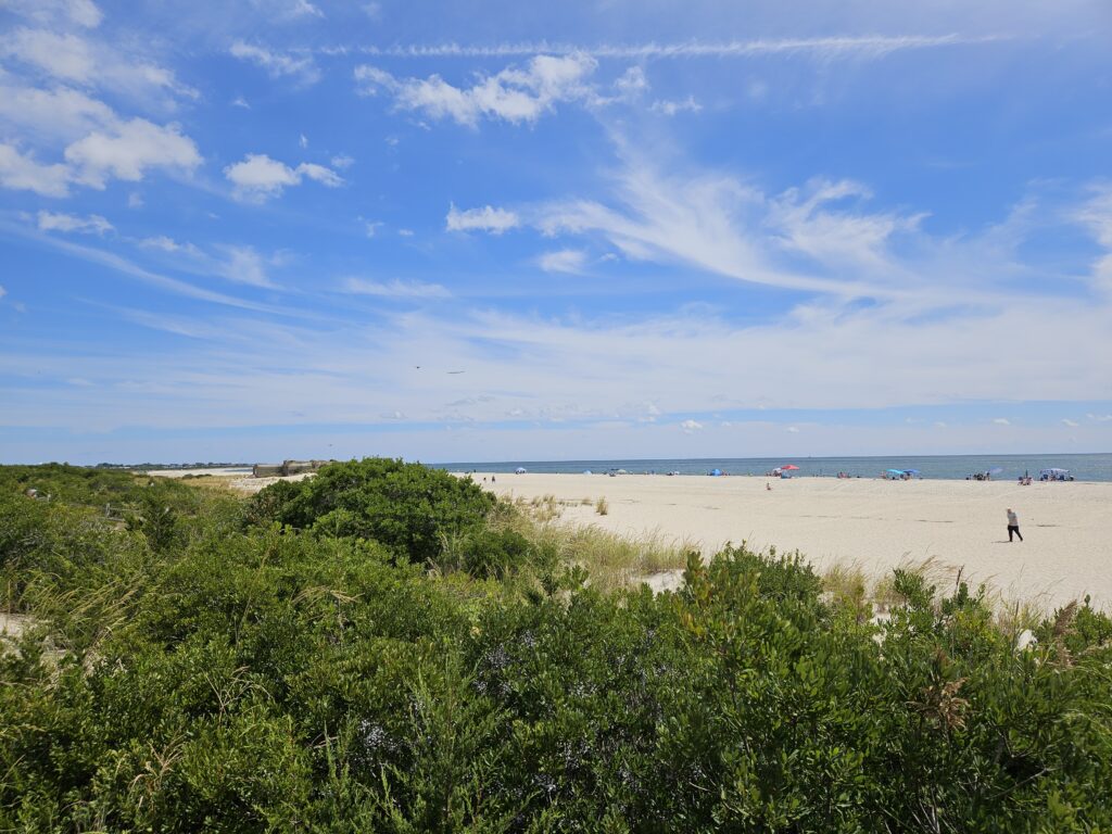 a person walking on a beach (MyCoast AI)