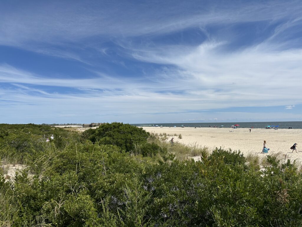 a beach with people and bushes (MyCoast AI)